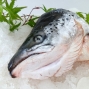 三文魚(yú)頭